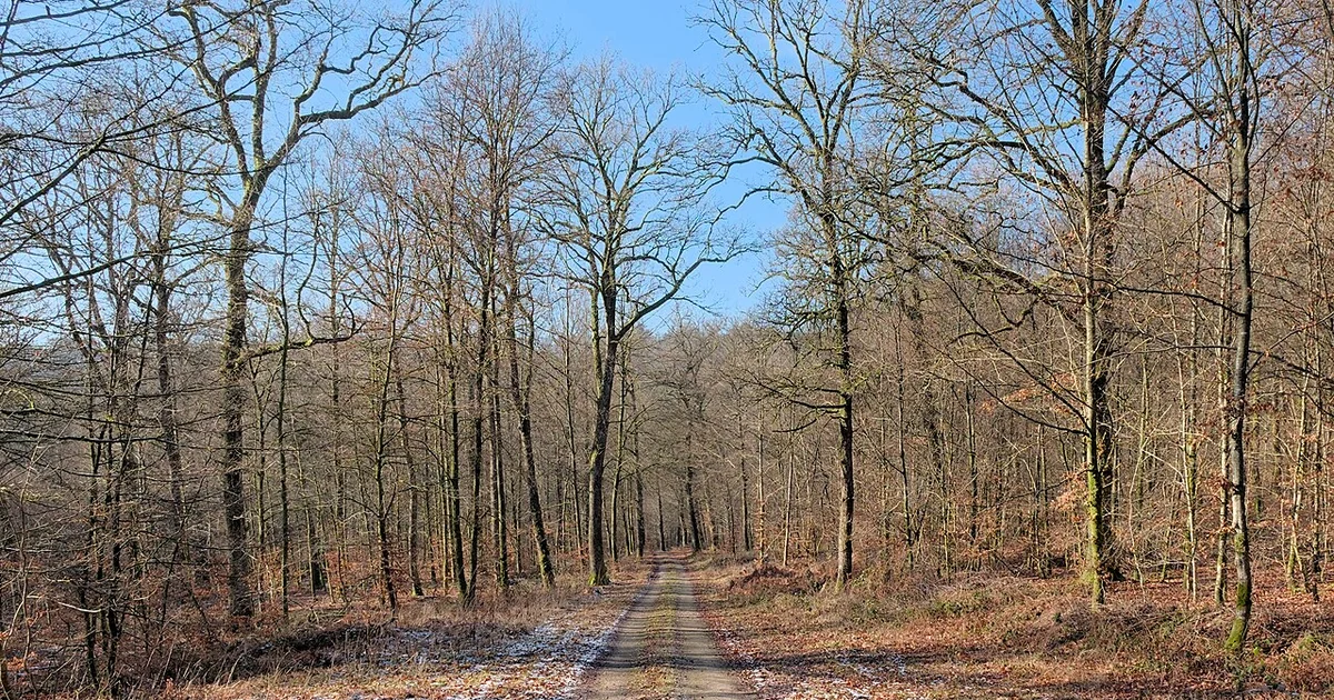 Walking path in Parc naturel de Gaume (Lacuisine, Florenville, Belgium)