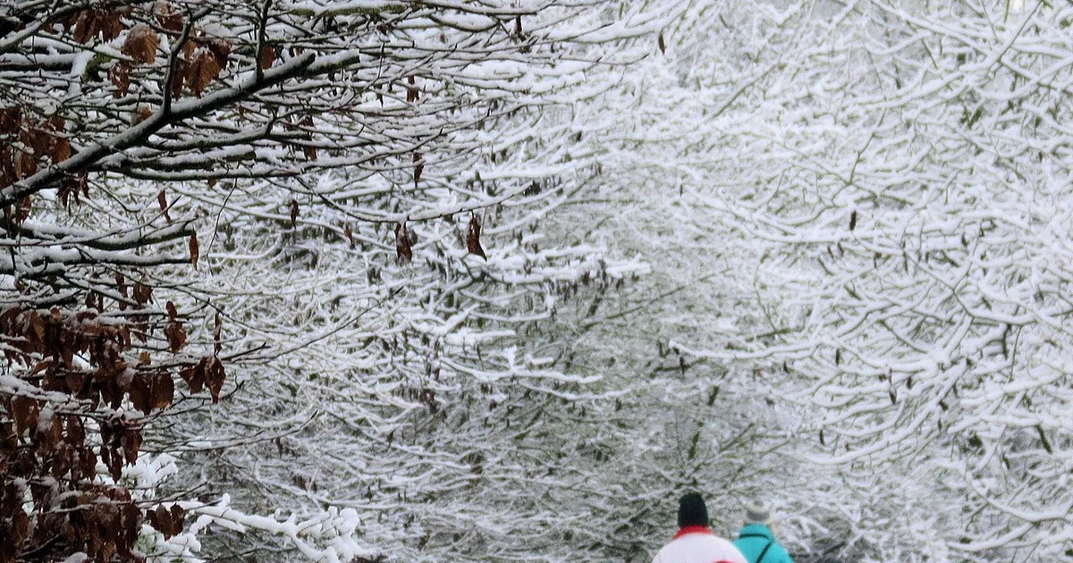 Walking Round the College Lake Nature Reserve in the Snow
